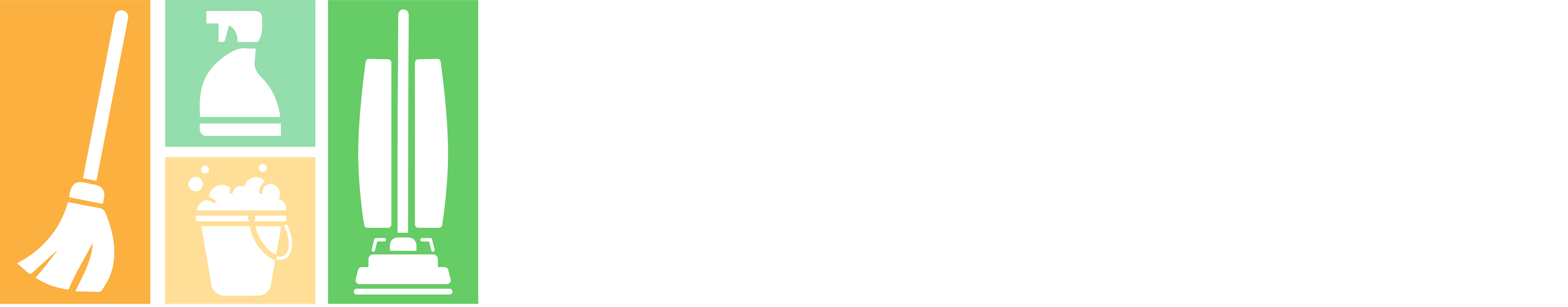 Fernando Professional Cleaning Logo